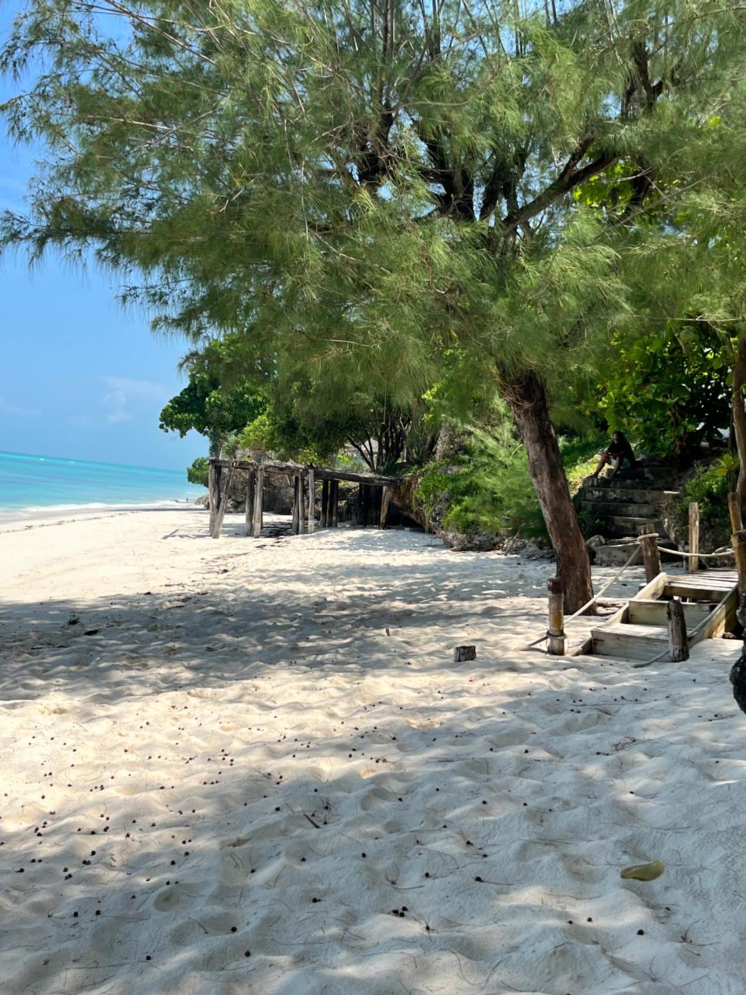 Sazani Beach Lodge And Tidal Lounge Nungwi Ngoại thất bức ảnh
