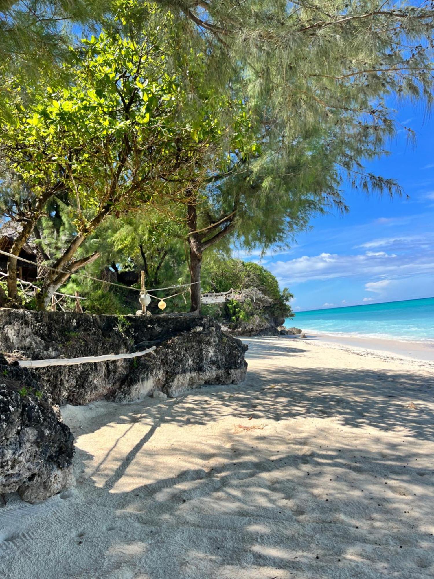 Sazani Beach Lodge And Tidal Lounge Nungwi Ngoại thất bức ảnh