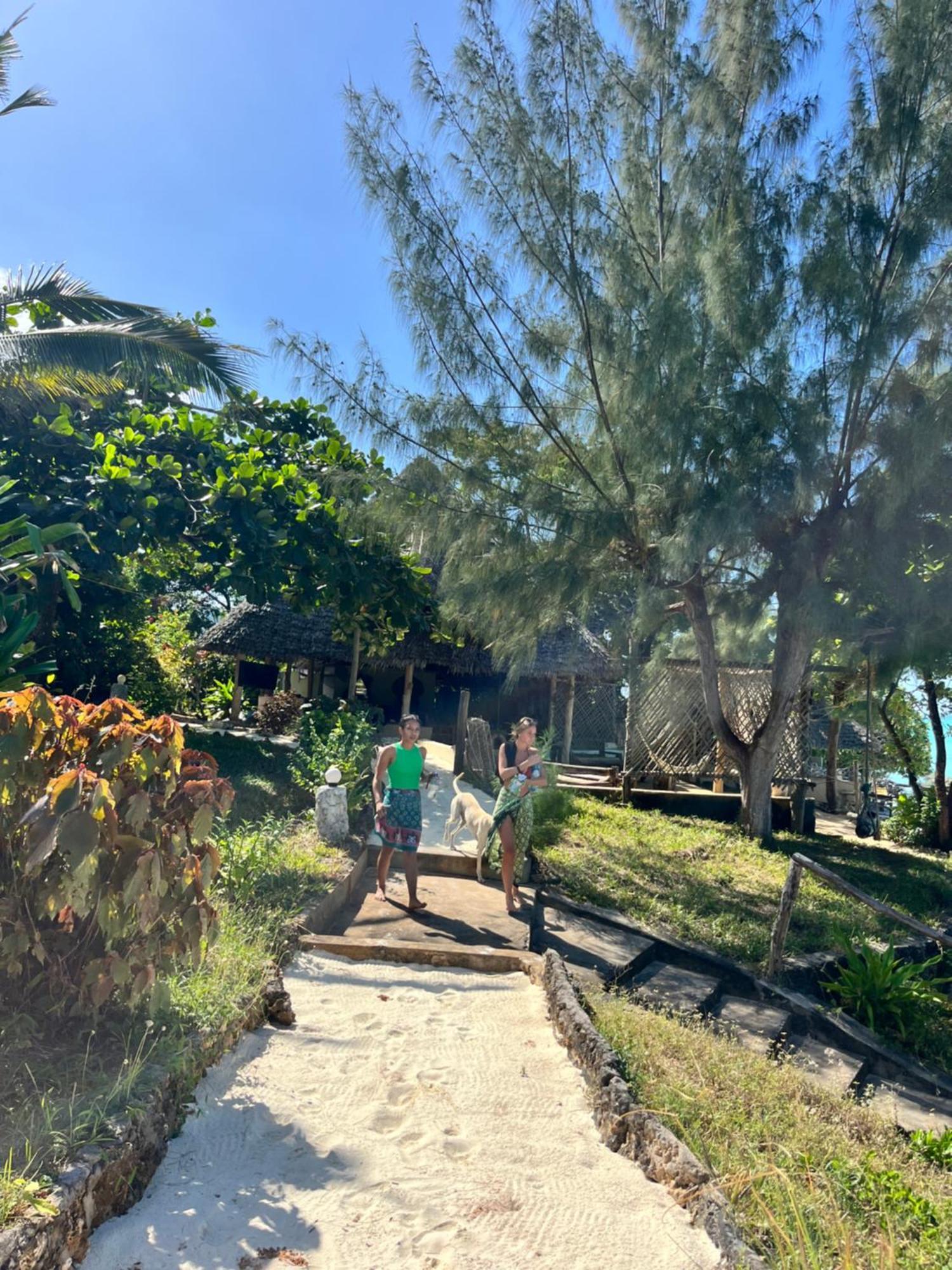 Sazani Beach Lodge And Tidal Lounge Nungwi Ngoại thất bức ảnh