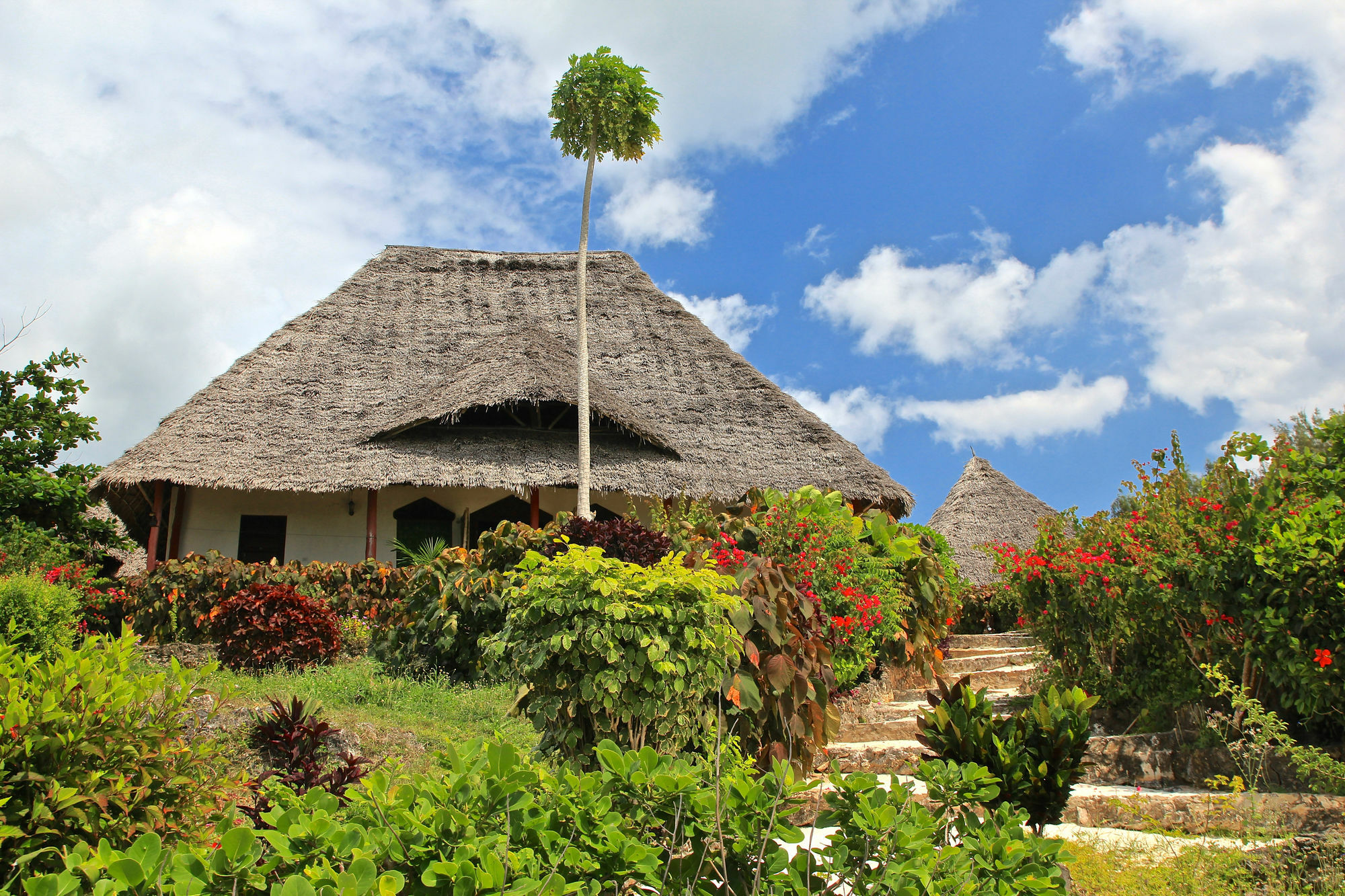 Sazani Beach Lodge And Tidal Lounge Nungwi Ngoại thất bức ảnh